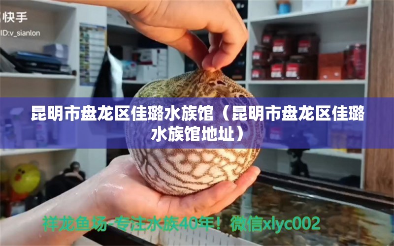 昆明市盘龙区佳璐水族馆（昆明市盘龙区佳璐水族馆地址） 全国水族馆企业名录