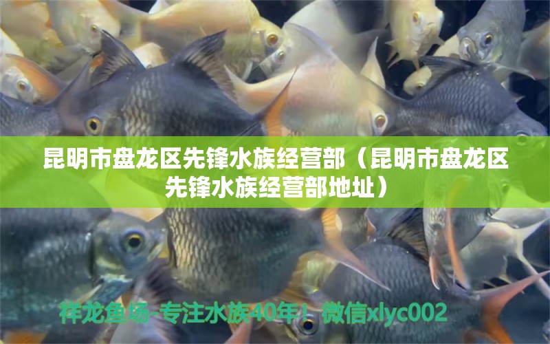 昆明市盘龙区先锋水族经营部（昆明市盘龙区先锋水族经营部地址）