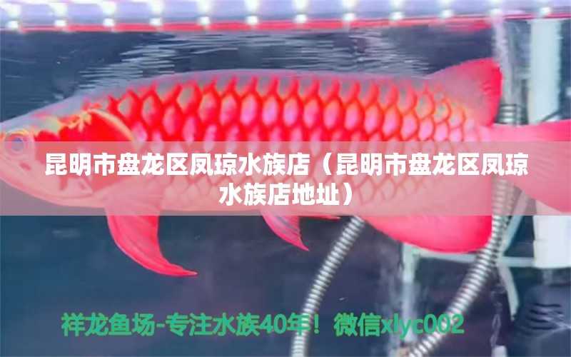 昆明市盘龙区凤琼水族店（昆明市盘龙区凤琼水族店地址）