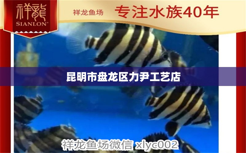 昆明市盘龙区力尹工艺店 全国水族馆企业名录