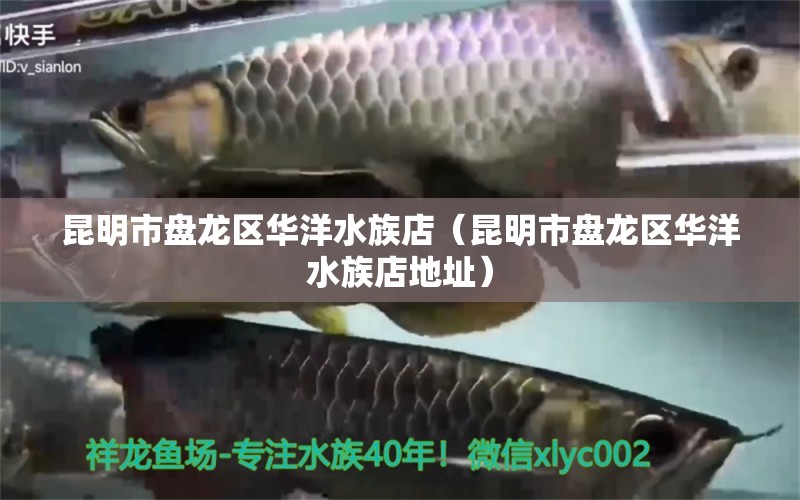 昆明市盘龙区华洋水族店（昆明市盘龙区华洋水族店地址） 全国水族馆企业名录