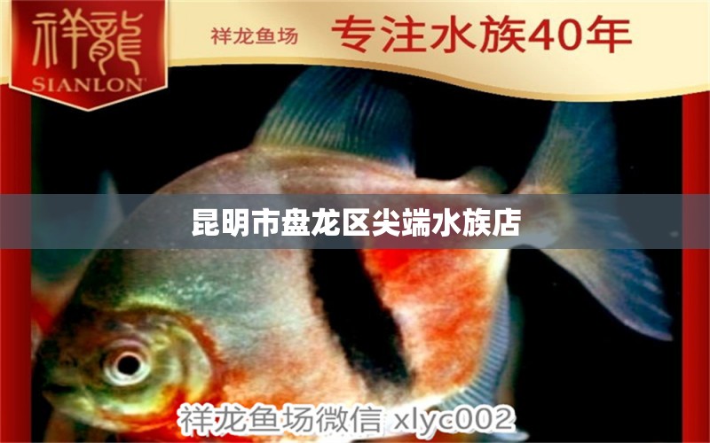 昆明市盘龙区尖端水族店 全国水族馆企业名录