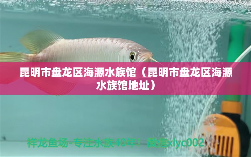 昆明市盘龙区海源水族馆（昆明市盘龙区海源水族馆地址）