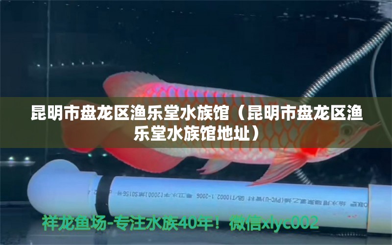 昆明市盘龙区渔乐堂水族馆（昆明市盘龙区渔乐堂水族馆地址）