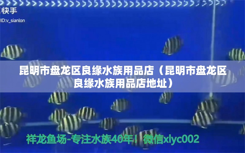 昆明市盘龙区良缘水族用品店（昆明市盘龙区良缘水族用品店地址）