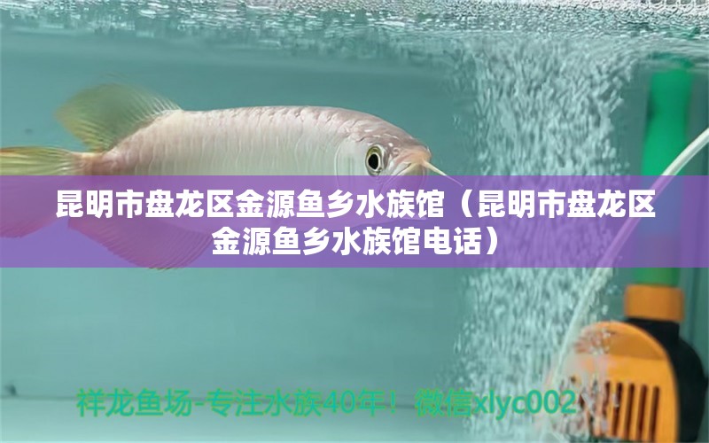 昆明市盘龙区金源鱼乡水族馆（昆明市盘龙区金源鱼乡水族馆电话）