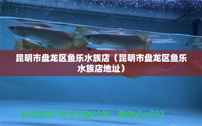 昆明市盘龙区鱼乐水族店（昆明市盘龙区鱼乐水族店地址）