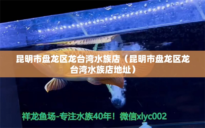 昆明市盘龙区龙台湾水族店（昆明市盘龙区龙台湾水族店地址）