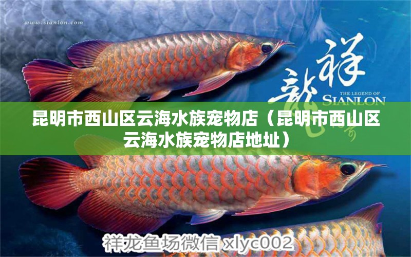 昆明市西山区云海水族宠物店（昆明市西山区云海水族宠物店地址） 全国水族馆企业名录