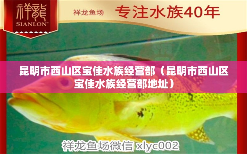 昆明市西山区宝佳水族经营部（昆明市西山区宝佳水族经营部地址）