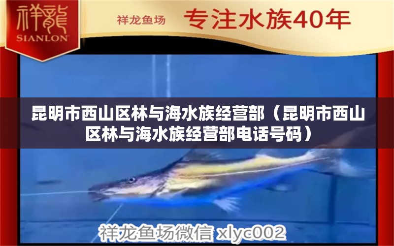 昆明市西山区林与海水族经营部（昆明市西山区林与海水族经营部电话号码）