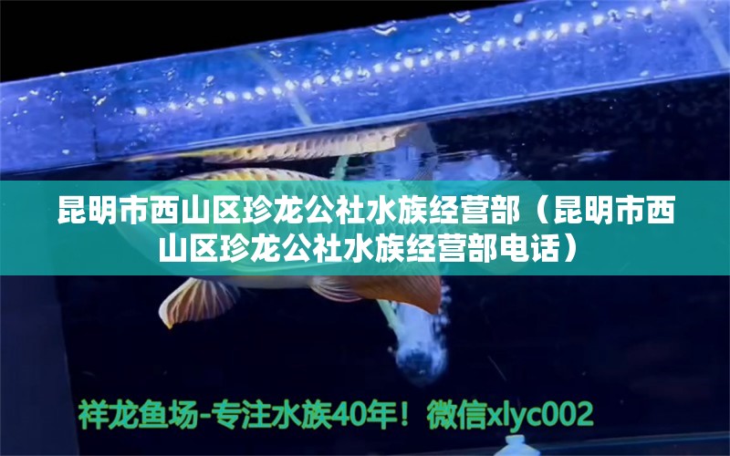 昆明市西山区珍龙公社水族经营部（昆明市西山区珍龙公社水族经营部电话）