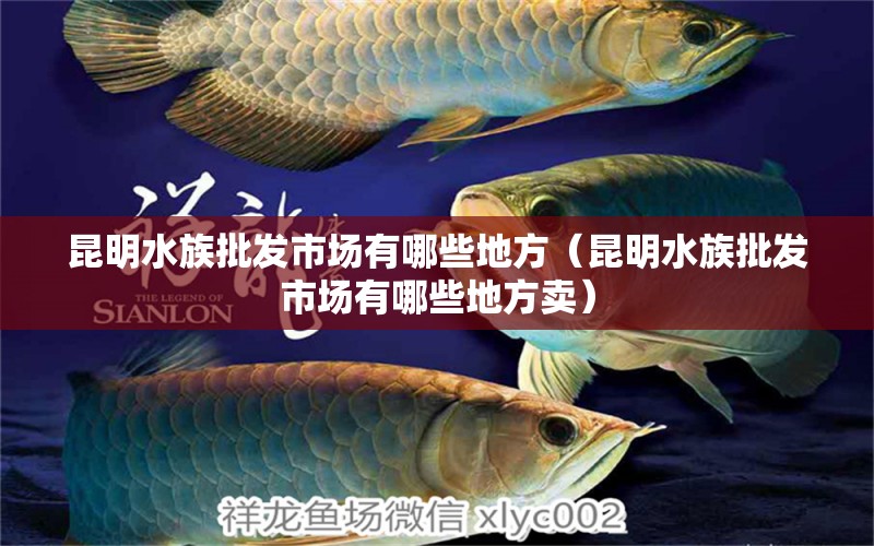 昆明水族批发市场有哪些地方（昆明水族批发市场有哪些地方卖）