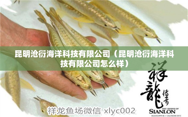 昆明沧衍海洋科技有限公司（昆明沧衍海洋科技有限公司怎么样）