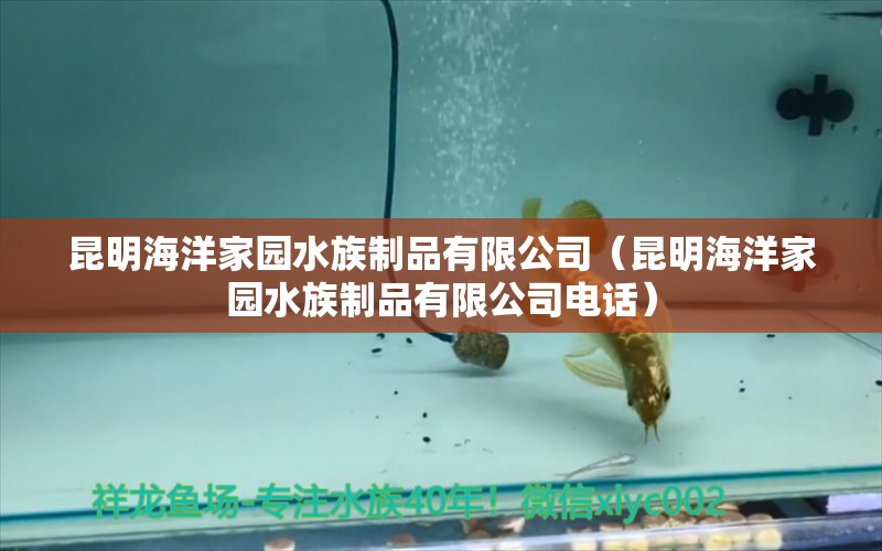 昆明海洋家园水族制品有限公司（昆明海洋家园水族制品有限公司电话）