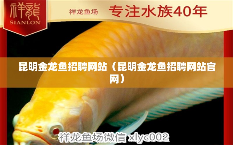 昆明金龙鱼招聘网站（昆明金龙鱼招聘网站官网） 祥龙水族医院