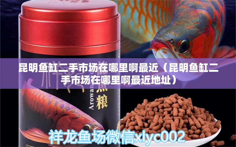 昆明鱼缸二手市场在哪里啊最近（昆明鱼缸二手市场在哪里啊最近地址） 观赏鱼市场（混养鱼）