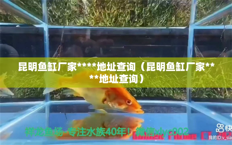 昆明鱼缸厂家****地址查询（昆明鱼缸厂家****地址查询） 其他品牌鱼缸