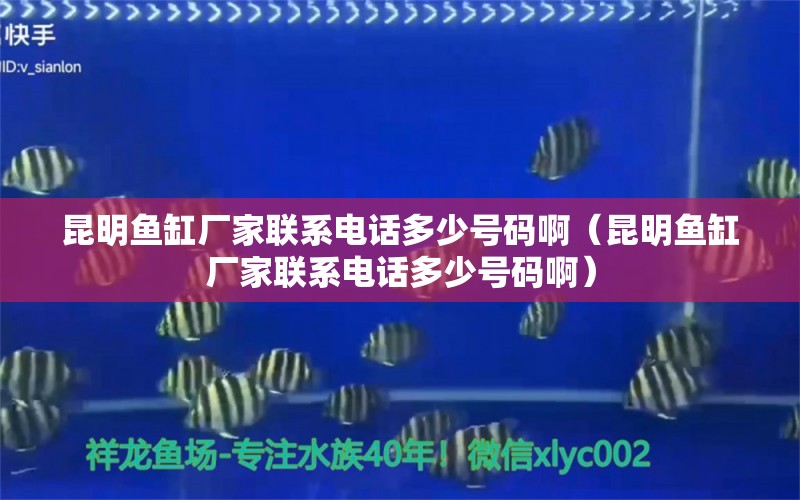 昆明鱼缸厂家联系电话多少号码啊（昆明鱼缸厂家联系电话多少号码啊）