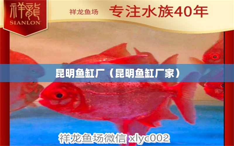 昆明鱼缸厂（昆明鱼缸厂家） 其他品牌鱼缸