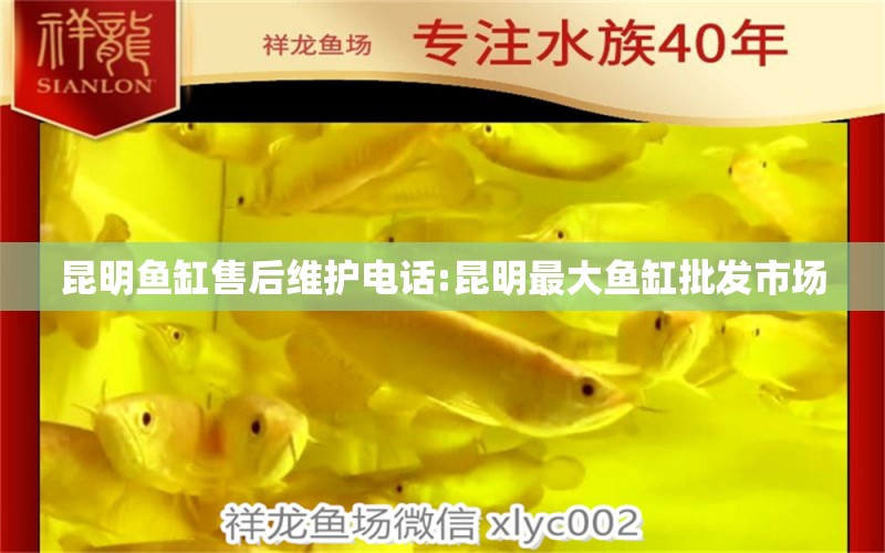 昆明鱼缸售后维护电话:昆明最大鱼缸批发市场