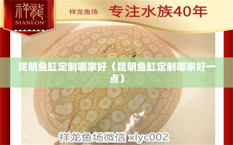 昆明鱼缸定制哪家好（昆明鱼缸定制哪家好一点） 其他品牌鱼缸