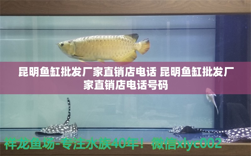 昆明鱼缸批发厂家直销店电话 昆明鱼缸批发厂家直销店电话号码 伊罕水族 第2张