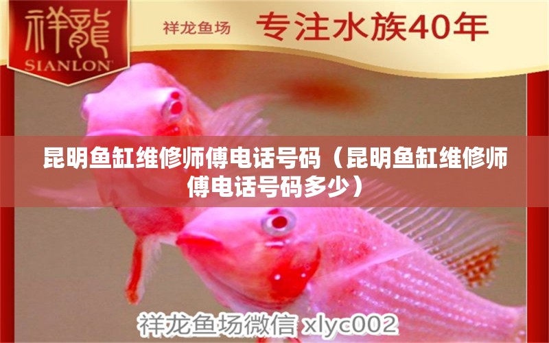 昆明鱼缸维修师傅电话号码（昆明鱼缸维修师傅电话号码多少） 其他品牌鱼缸