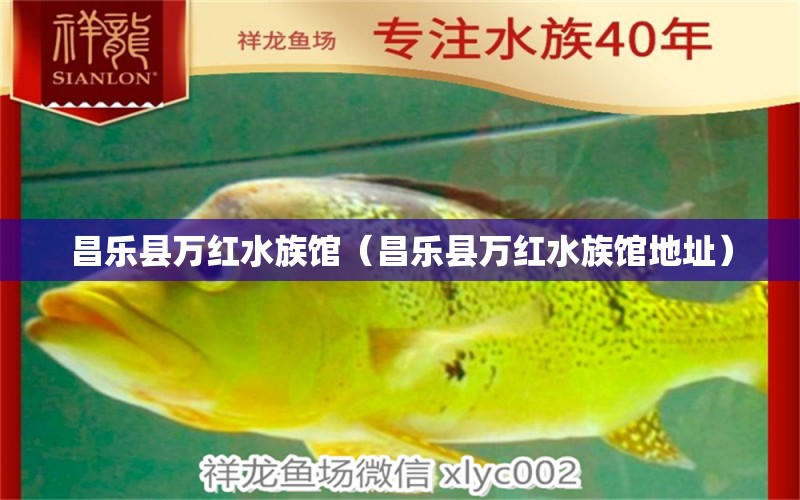 昌乐县万红水族馆（昌乐县万红水族馆地址） 全国水族馆企业名录