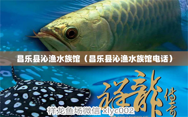 昌乐县沁渔水族馆（昌乐县沁渔水族馆电话） 全国水族馆企业名录