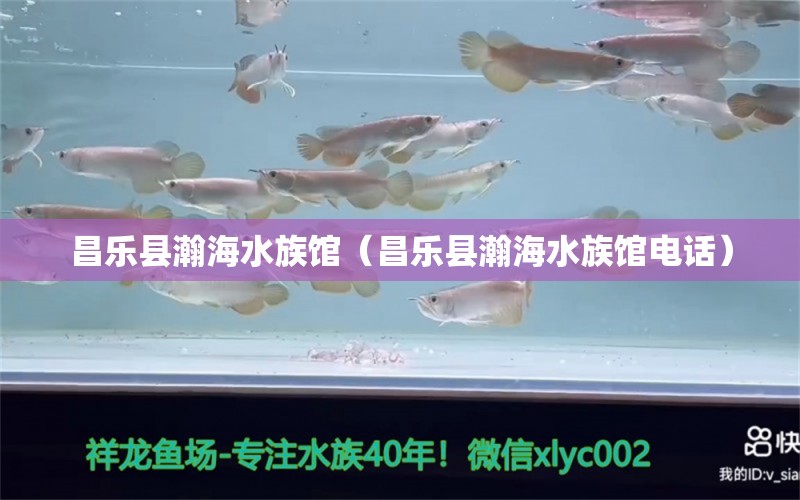 昌乐县瀚海水族馆（昌乐县瀚海水族馆电话）