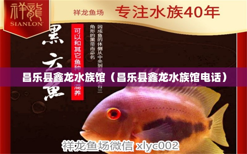 昌乐县鑫龙水族馆（昌乐县鑫龙水族馆电话） 全国水族馆企业名录