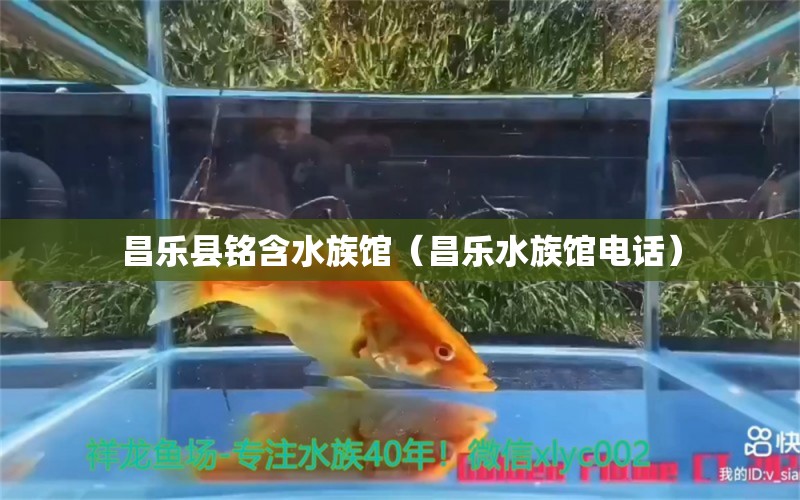 昌乐县铭含水族馆（昌乐水族馆电话）