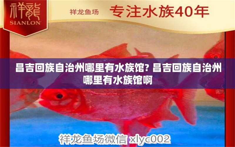 昌吉回族自治州哪里有水族馆? 昌吉回族自治州哪里有水族馆啊