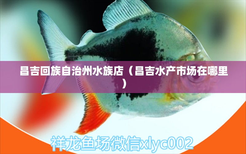 昌吉回族自治州水族店（昌吉水产市场在哪里）