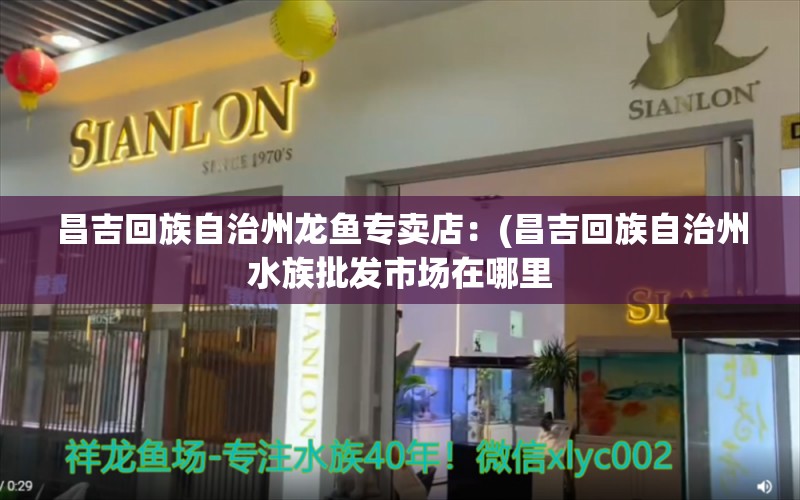 昌吉回族自治州龙鱼专卖店：(昌吉回族自治州水族批发市场在哪里 全国观赏鱼市场 第3张