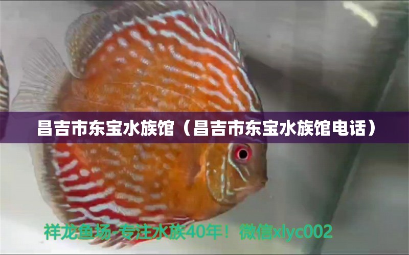 昌吉市东宝水族馆（昌吉市东宝水族馆电话）