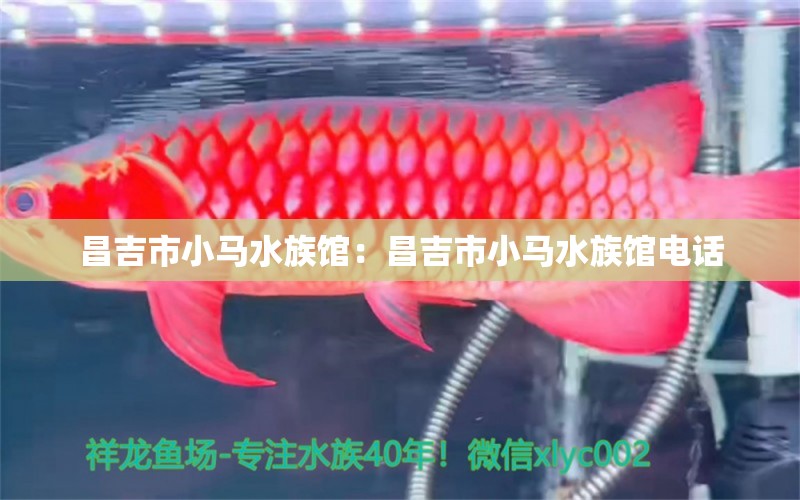 昌吉市小马水族馆：昌吉市小马水族馆电话