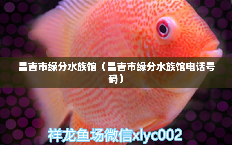 昌吉市缘分水族馆（昌吉市缘分水族馆电话号码）