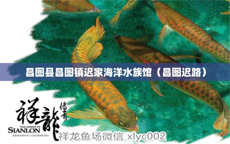 昌图县昌图镇迟家海洋水族馆（昌图迟路）