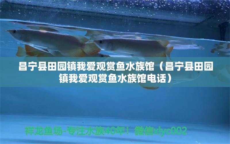 昌宁县田园镇我爱观赏鱼水族馆（昌宁县田园镇我爱观赏鱼水族馆电话）