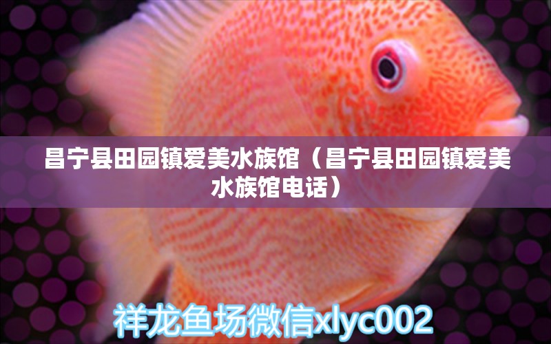 昌宁县田园镇爱美水族馆（昌宁县田园镇爱美水族馆电话）