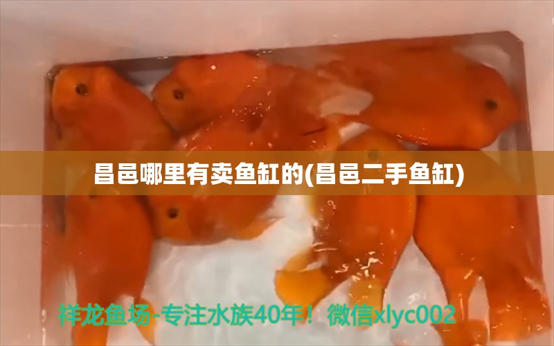 昌邑哪里有卖鱼缸的(昌邑二手鱼缸) 红龙鱼鱼粮饲料