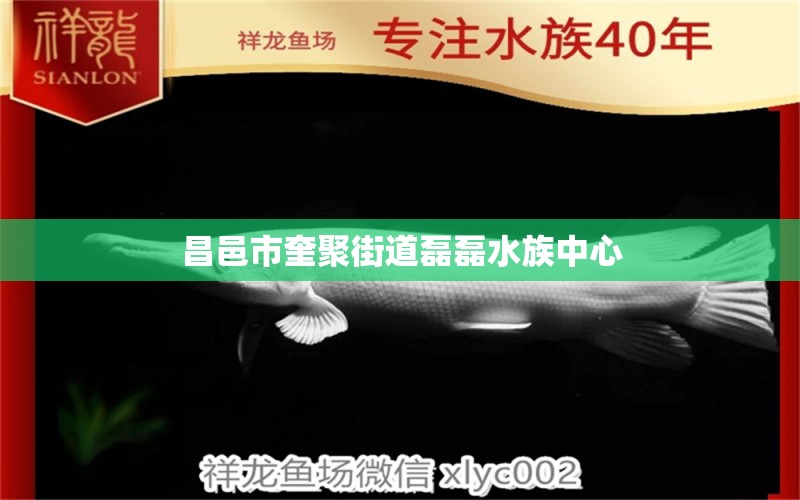 昌邑市奎聚街道磊磊水族中心 全国水族馆企业名录