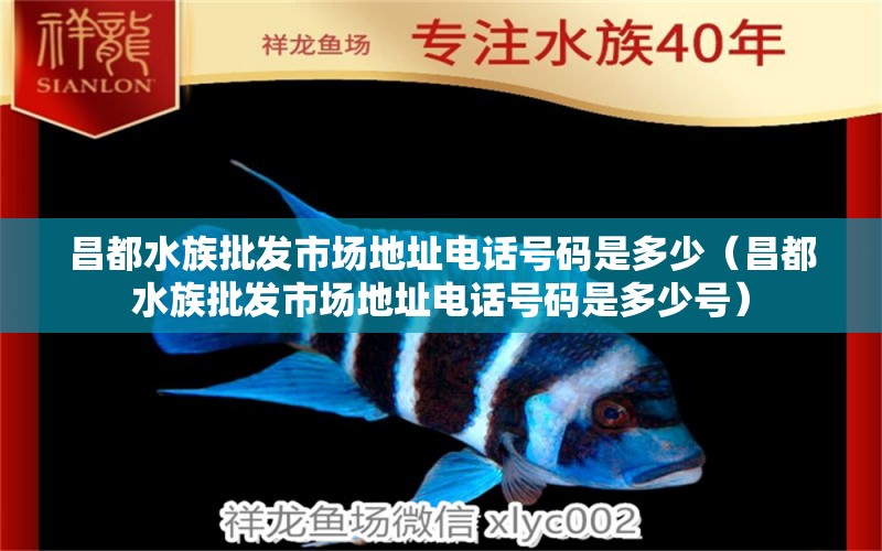 昌都水族批发市场地址电话号码是多少（昌都水族批发市场地址电话号码是多少号） 观赏鱼水族批发市场