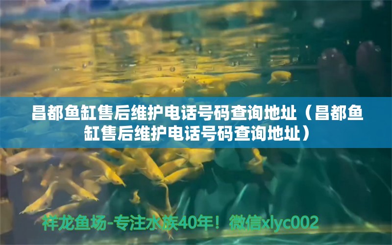 昌都鱼缸售后维护电话号码查询地址（昌都鱼缸售后维护电话号码查询地址）