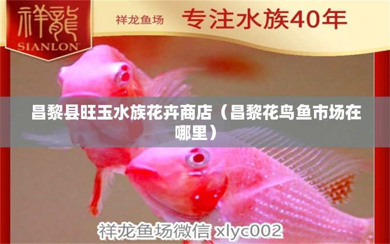 昌黎县旺玉水族花卉商店（昌黎花鸟鱼市场在哪里） 全国水族馆企业名录