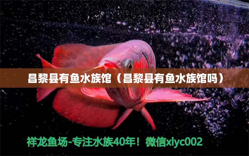 昌黎县有鱼水族馆（昌黎县有鱼水族馆吗）