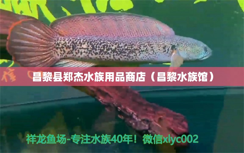 昌黎县郑杰水族用品商店（昌黎水族馆）