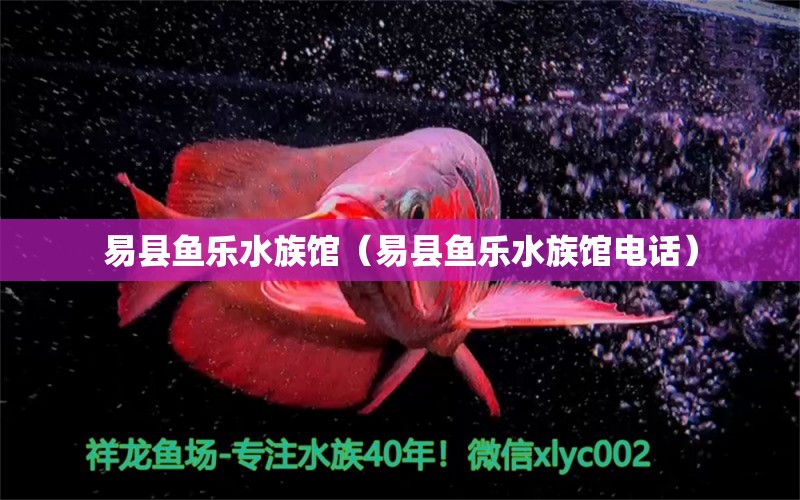 易县鱼乐水族馆（易县鱼乐水族馆电话） 全国水族馆企业名录